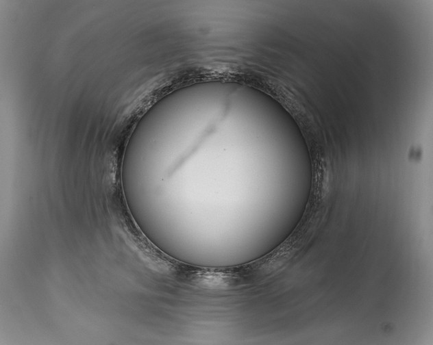 X0000113580710200910021653