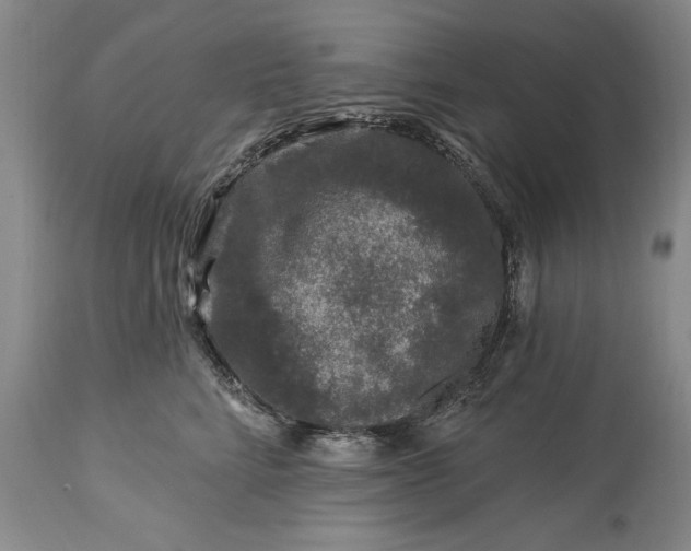 X0000113580712200910021653