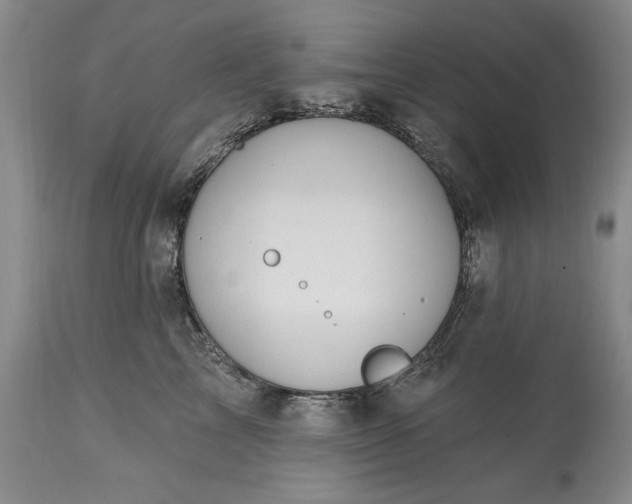 X0000113580713200910021653