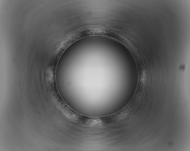 X0000113580715200910021653