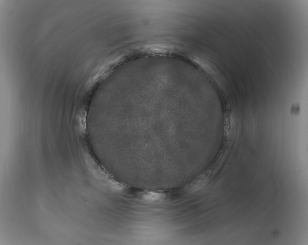 X0000113580718200910021653