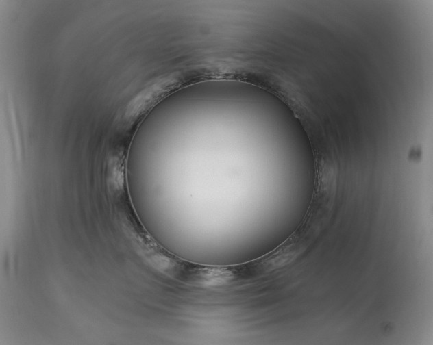 X0000113580719200910021653