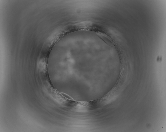 X0000113580720200910021653