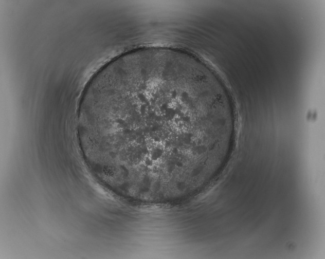 X0000113580721200910021652