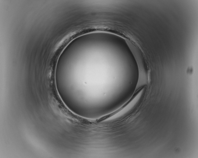 X0000113580723200910021652