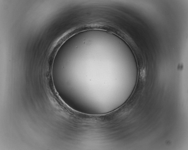 X0000113580724200910021652