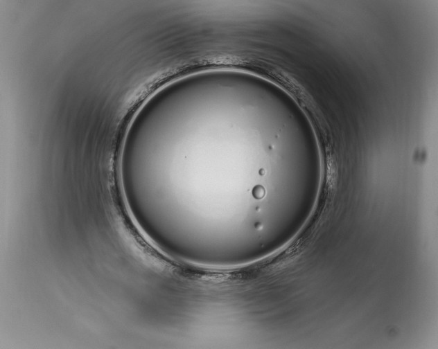 X0000113580725200910021652