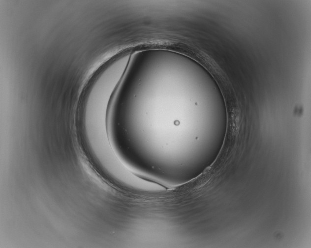 X0000113580726200910021652