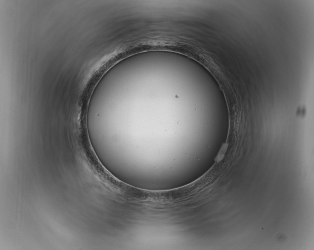 X0000113580727200910021652