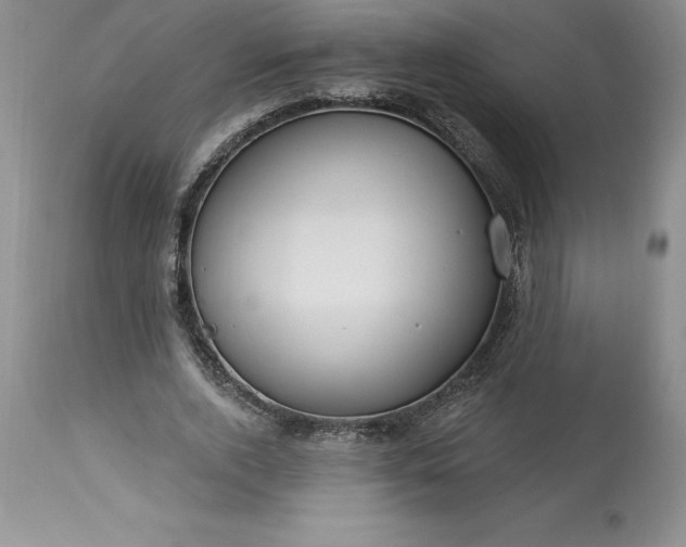 X0000113580728200910021652