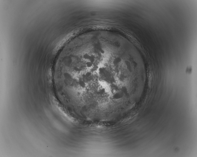 X0000113580729200910021652