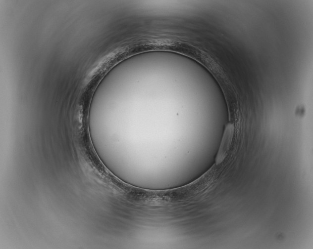 X0000113580731200910021652