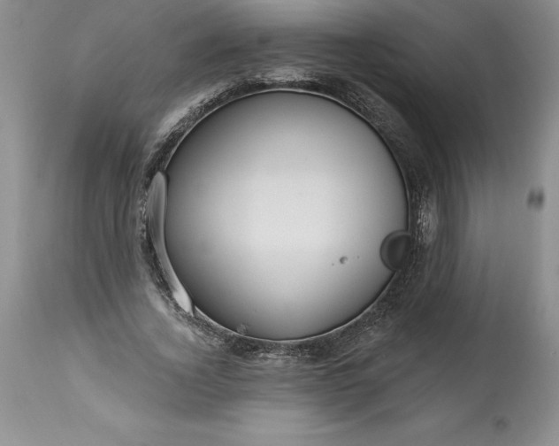 X0000113580732200910021652