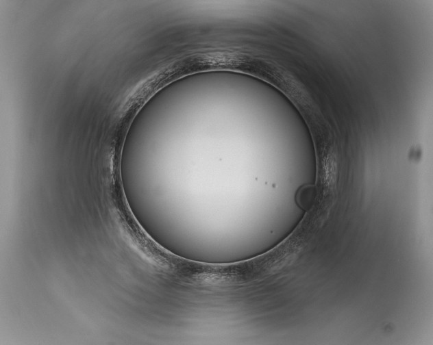 X0000113580733200910021652