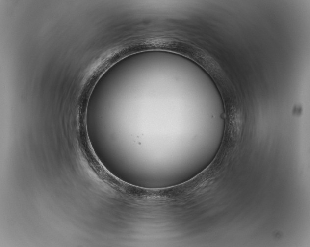 X0000113580734200910021652