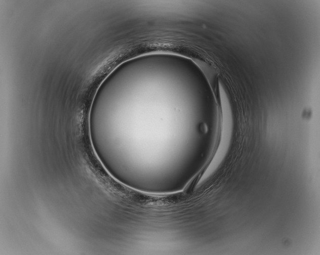 X0000113580735200910021652