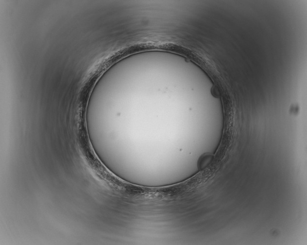 X0000113580736200910021652