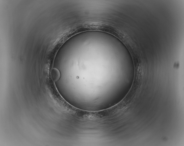 X0000113580739200910021652