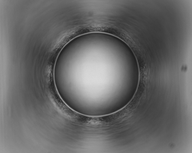 X0000113580742200910021652