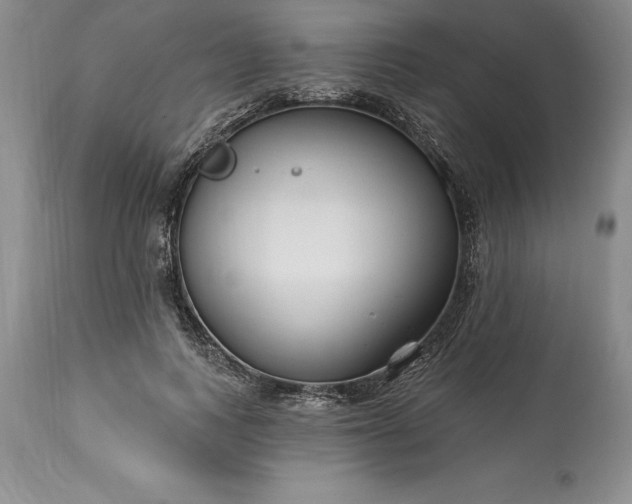 X0000113580743200910021652