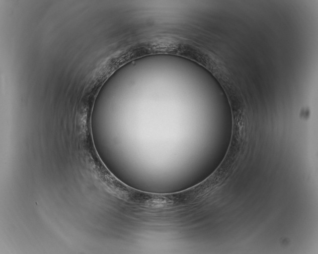 X0000113580745200910021652