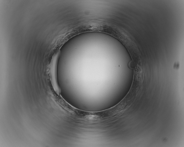 X0000113580748200910021652