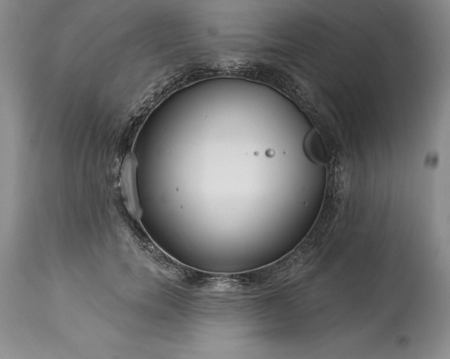 X0000113580750200910021652