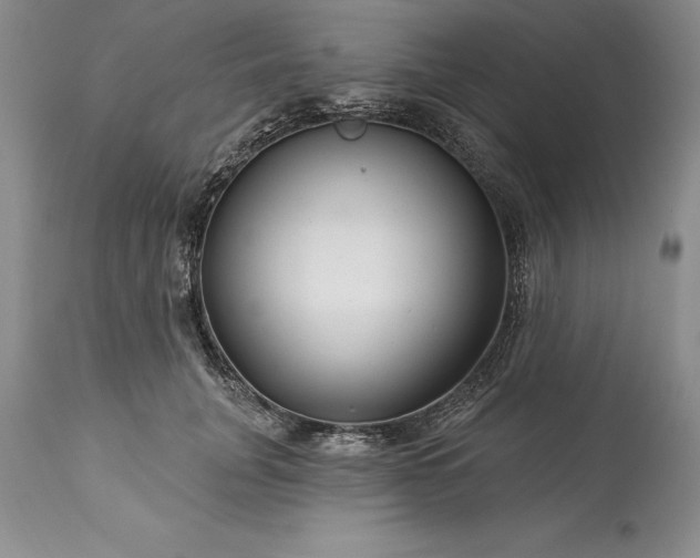 X0000113580751200910021652