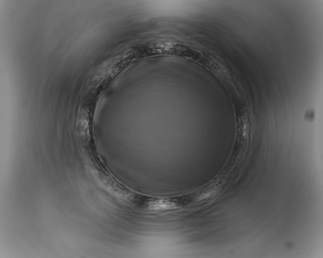 X0000113580754200910021652