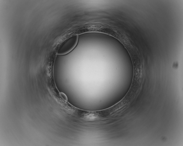 X0000113580755200910021652