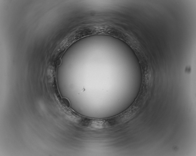 X0000113580757200910021652