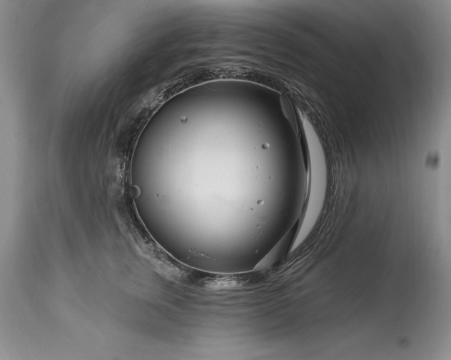 X0000113580759200910021652