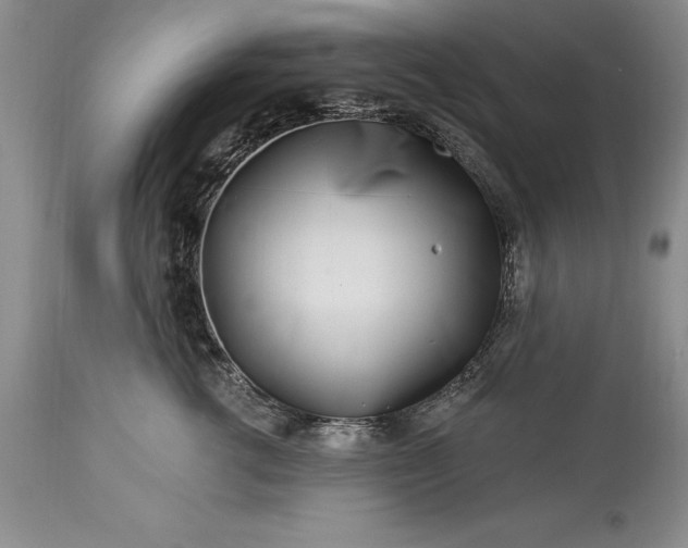 X0000113580762200910021652