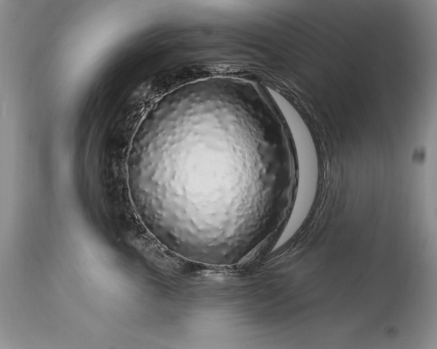 X0000113580763200910021652