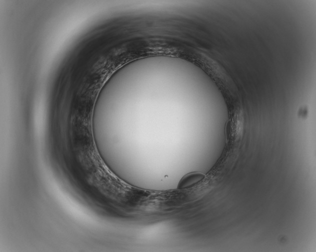 X0000113580764200910021653