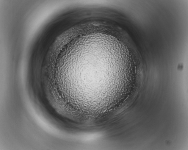 X0000113580765200910021653