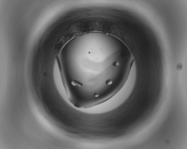 X0000113580766200910021653