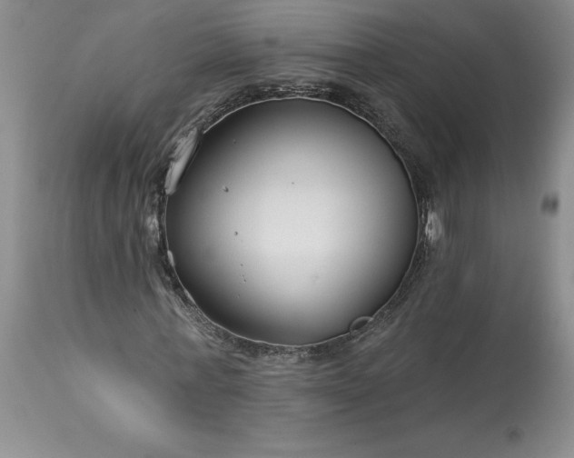 X0000113580771200910021652