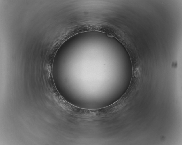 X0000113580772200910021652