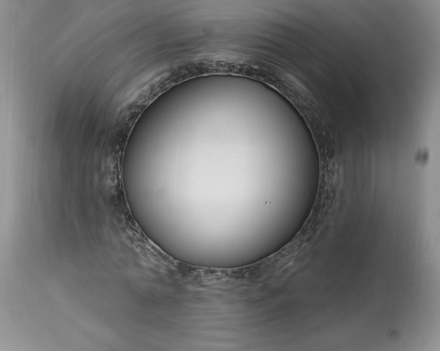 X0000113580774200910021651