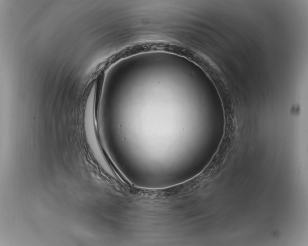 X0000113580775200910021651