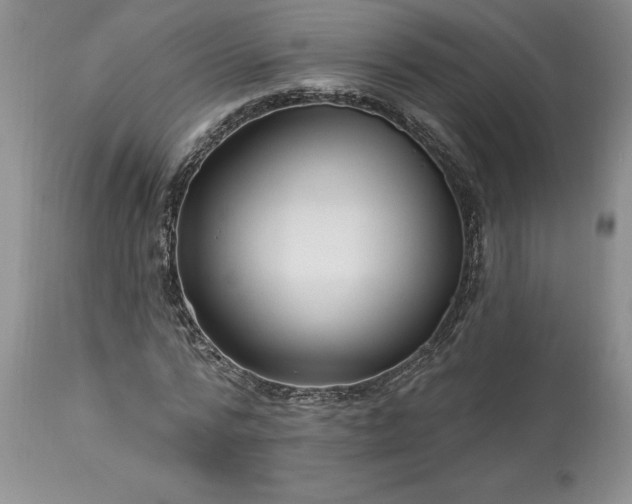 X0000113580776200910021651