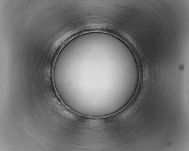 X0000113580778200910021651