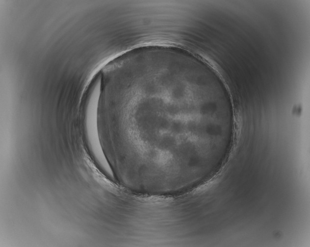 X0000113580779200910021651