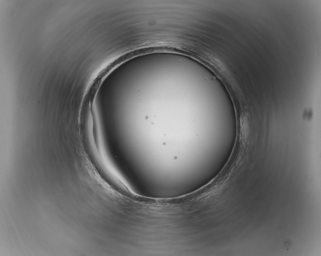 X0000113580780200910021651