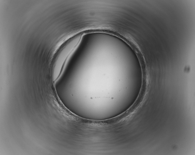 X0000113580781200910021651