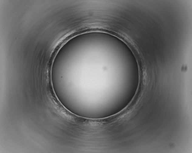 X0000113580782200910021651