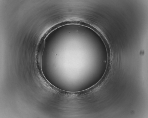 X0000113580783200910021651