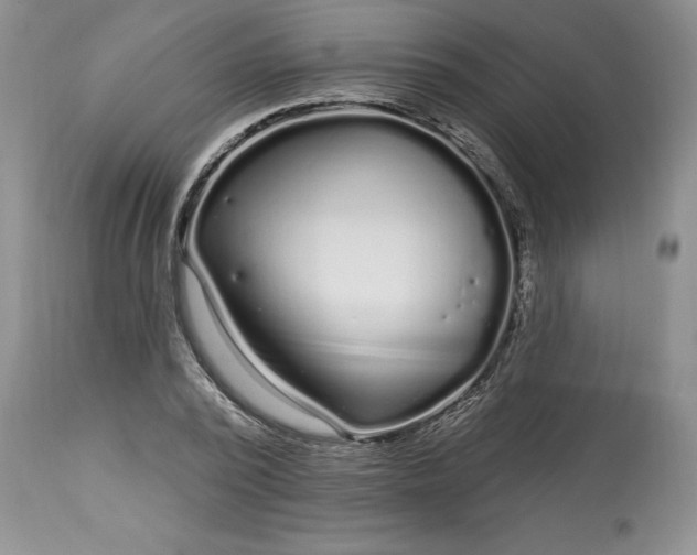 X0000113580784200910021651