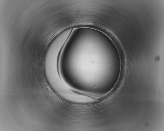 X0000113580785200910021651